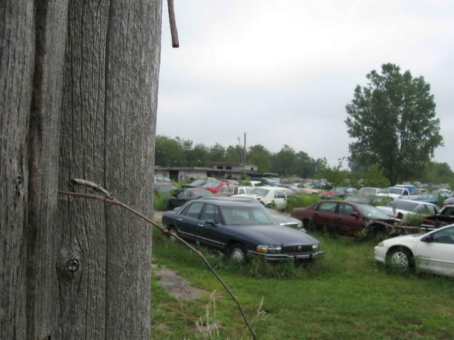 Plymouth Drive-In - 2010 Photo